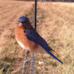 Meet your Posher, Jan